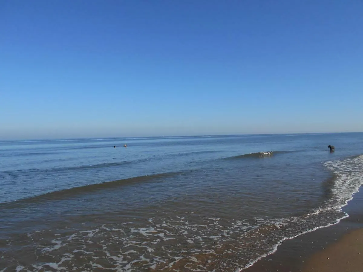 Zomerhuis Wonders Zandvoort Nederland